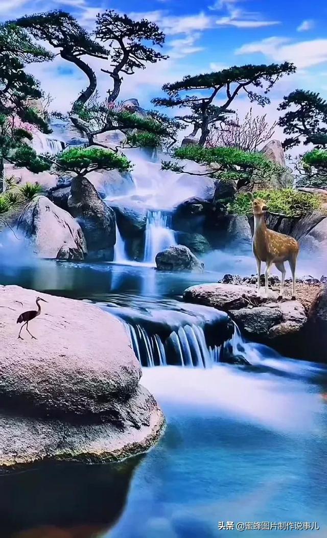 小汪汪
